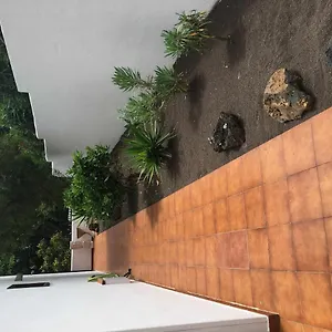 Con Jardín Y Piscina B Apartamento